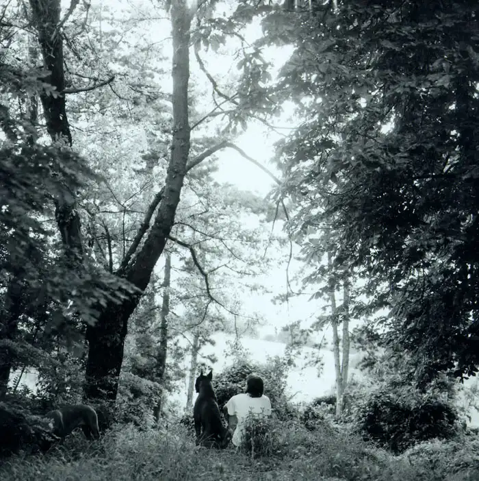 Foto di Riccardo Dametti