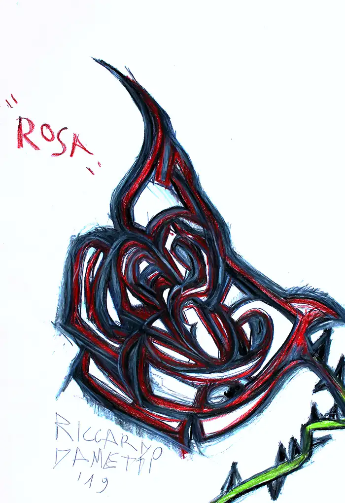 Rosa cm 33x48