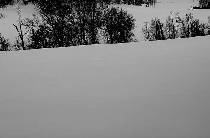 Neve n3