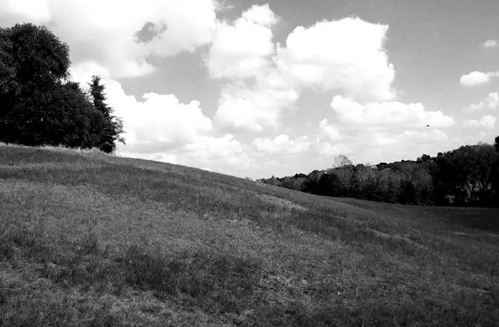 Campo bianco e nero