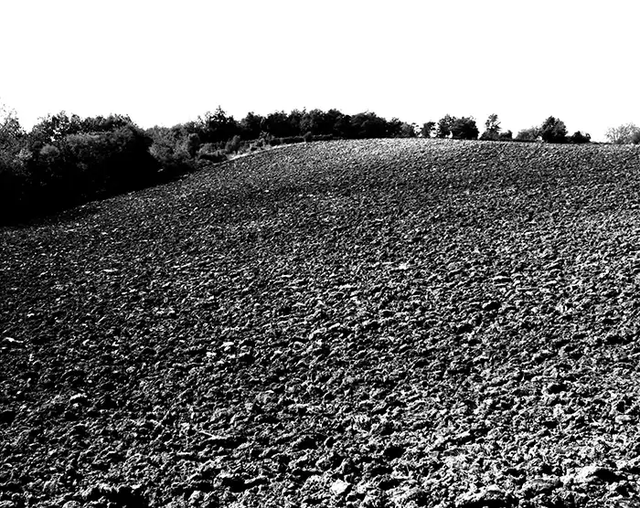 Campo bianco e nero n2