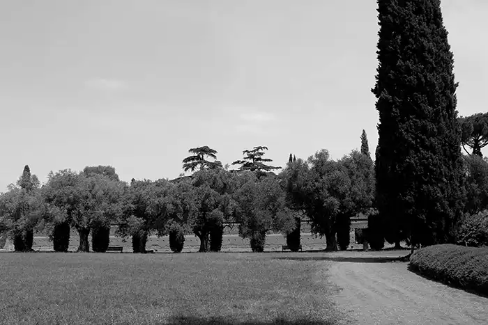 Villa Adriana bianco e nero n3