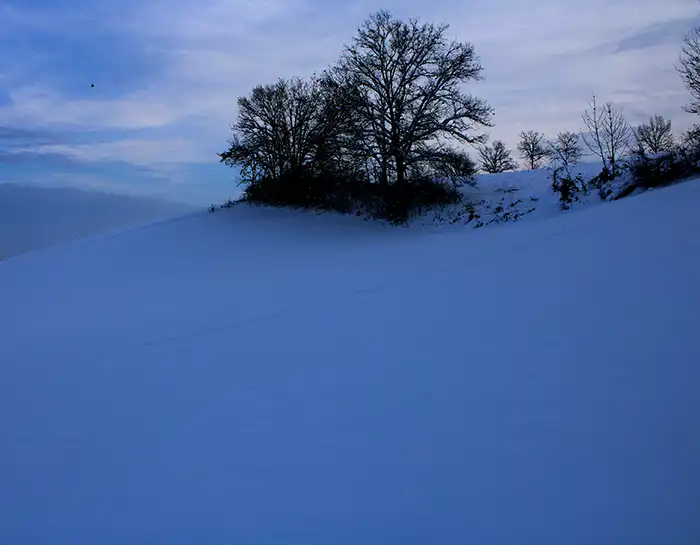 Neve n6