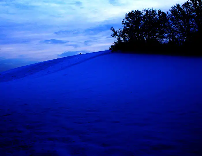 Neve n7