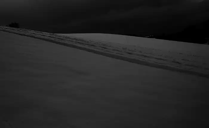 Neve