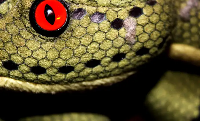 Serpente