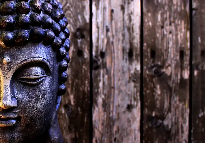 Buddha n5