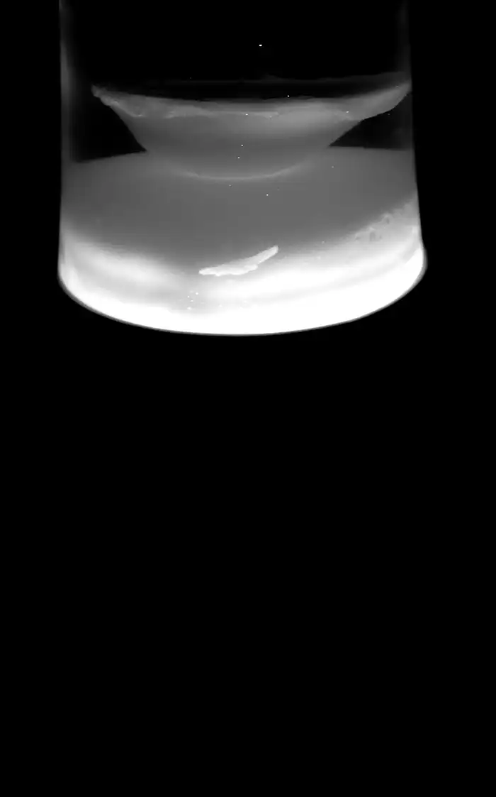 Lava n5
