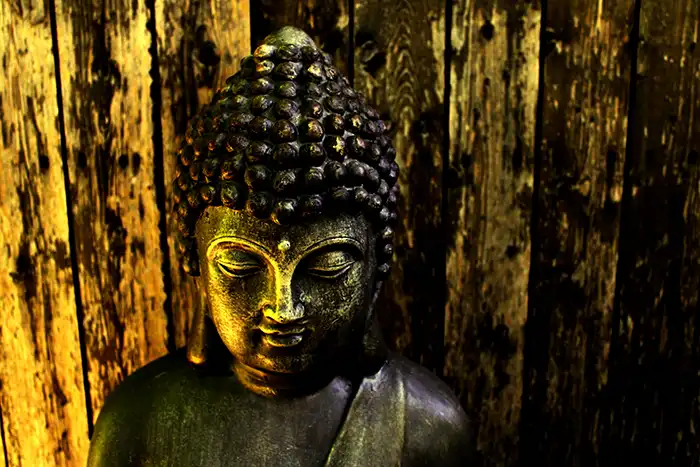 Buddha n6