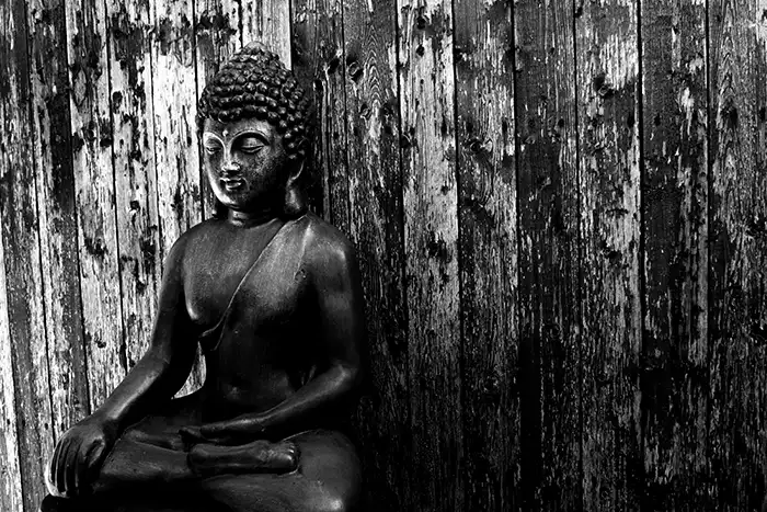 Buddha n2